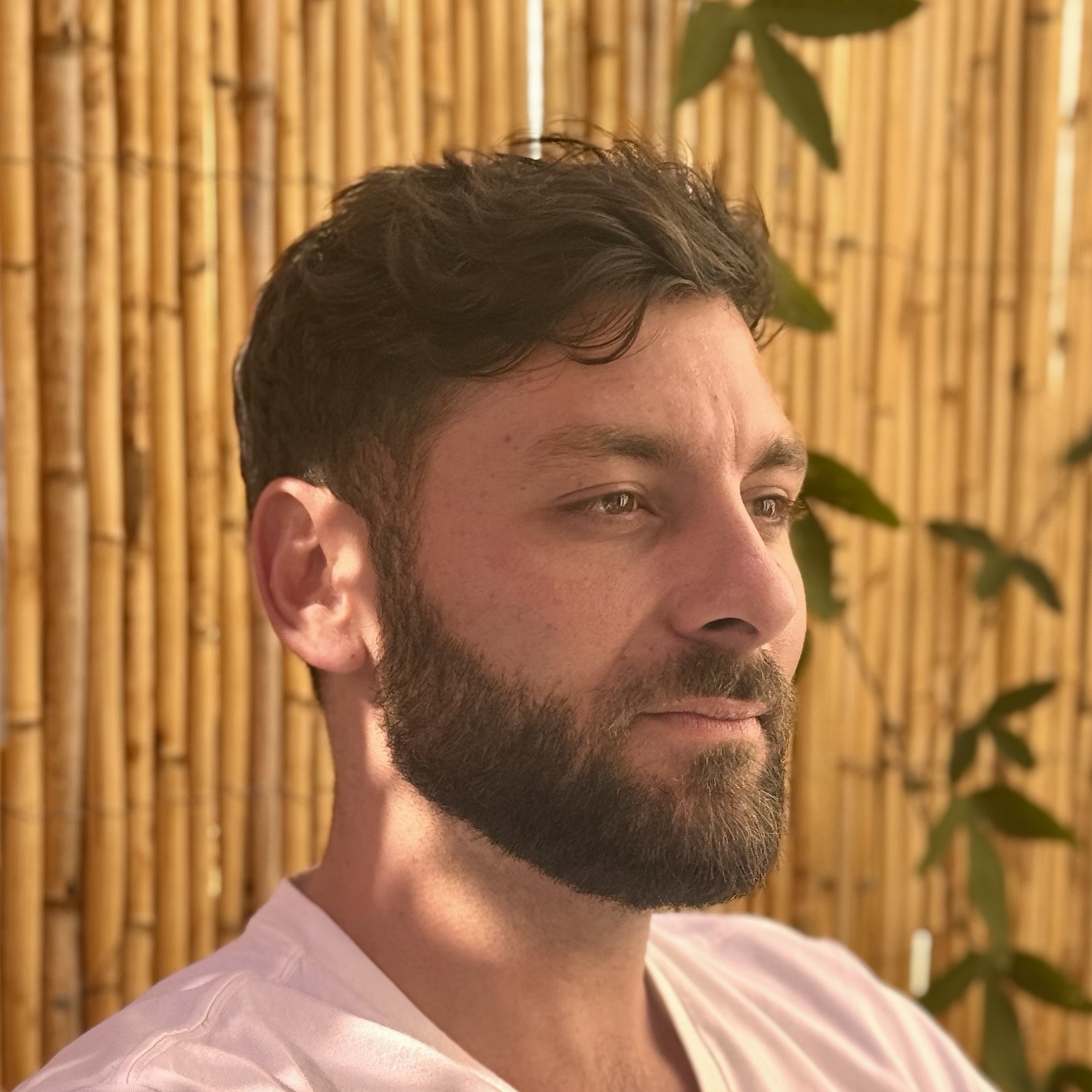 Romain Pinnisi